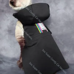 SASH05.  Black All Seasons Cat Harness