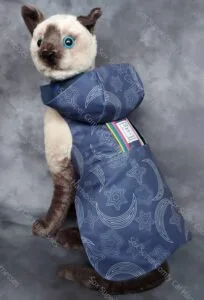Blue all seasons cat harness with a star and moon pattern. Shown with the bum and hood attachments.
