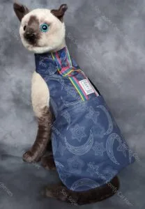 Blue all seasons cat harness with a star and moon pattern. Shown with the bum attachment only.