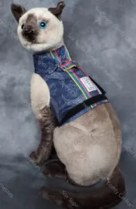 Blue all-seasons cat harness with star and moon pattern, shown without bum or hood attachment.